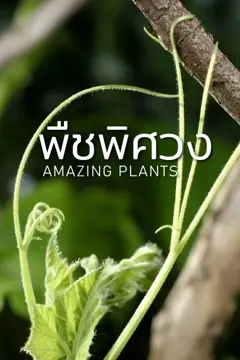 ปกสารคดี พืชพิศวง