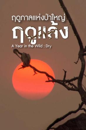 ฤดูกาลแห่งป่าใหญ่ ฤดูแล้ง