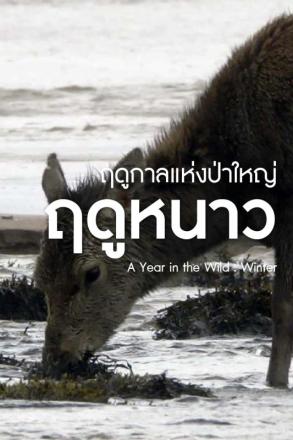 ฤดูกาลแห่งป่าใหญ่ ฤดูหนาว