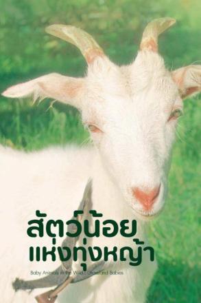 สัตว์น้อยในป่าใหญ่ สัตว์น้อยแห่งทุ่งหญ้า