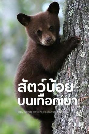 สัตว์น้อยในป่าใหญ่ สัตว์น้อยบนเทือกเขา