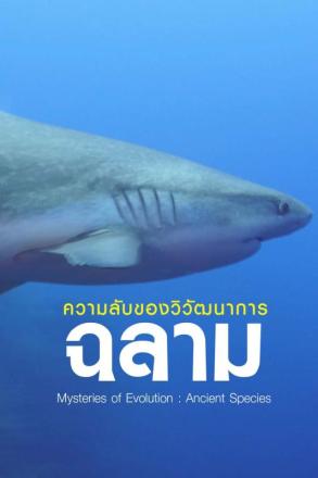 ความลับของวิวัฒนาการ ฉลาม