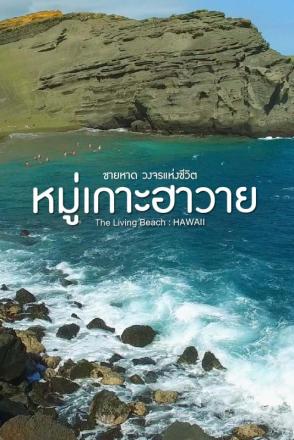 ชายหาด วงจรแห่งชีวิต หมู่เกาะฮาวาย