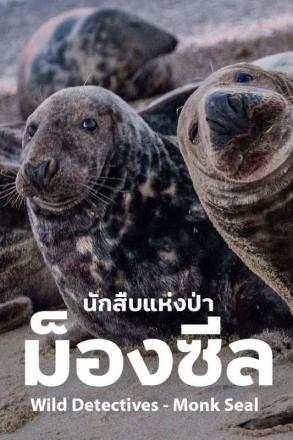 นักสืบแห่งป่า ม็องซีล