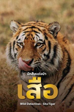 นักสืบแห่งป่า เสือ
