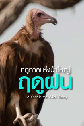 ฤดูกาลแห่งป่าใหญ่ ฤดูฝน
