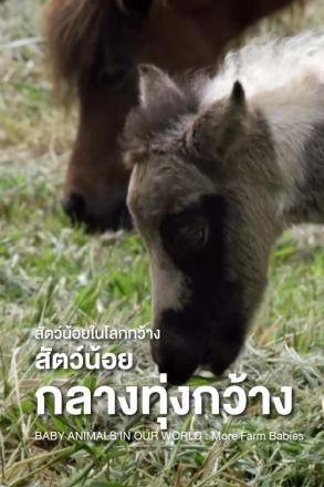 สัตว์น้อยในโลกกว้าง สัตว์น้อยกลางทุ่งกว้าง