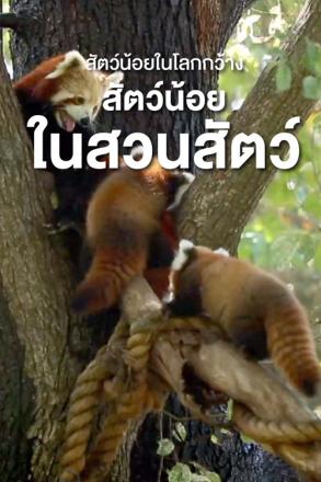 สัตว์น้อยในโลกกว้าง สัตว์น้อยในสวนสัตว์