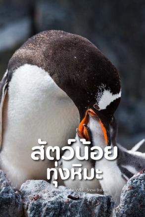 สัตว์น้อยในป่าใหญ่ สัตว์น้อยทุ่งหิมะ