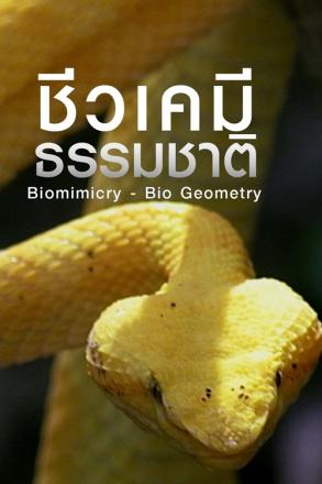 รูปทรงจากธรรมชาติ ชีวเคมีธรรมชาติ