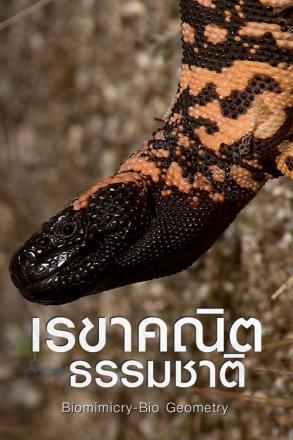 รูปทรงจากธรรมชาติ เรขาคณิตธรรมชาติ