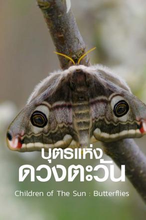 บุตรแห่งดวงตะวัน ผีเสื้อ