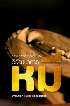 วิวัฒนาการสัตว์ดึกดำบรรพ์ วิวัฒนาการของหมี