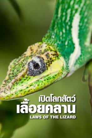 เปิดโลกสัตว์เลื้อยคลาน
