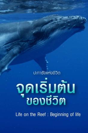 ปะการังแห่งชีวิต จุดเริ่มต้นของชีวิต