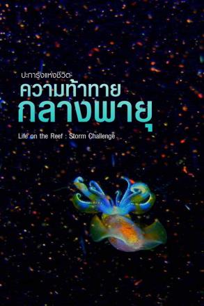 ปะการังแห่งชีวิต ความท้าทายกลางพายุ