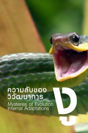 ความลับของวิวัฒนาการ งู