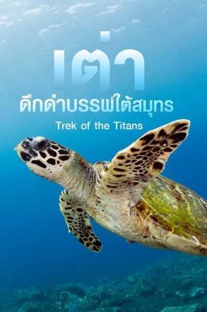 เต่าดึกดำบรรพ์ใต้สมุทร