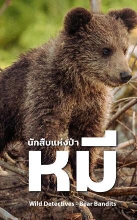 นักสืบแห่งป่า หมี