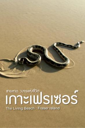ชายหาด วงจรแห่งชีวิต เกาะเฟรเซอร์