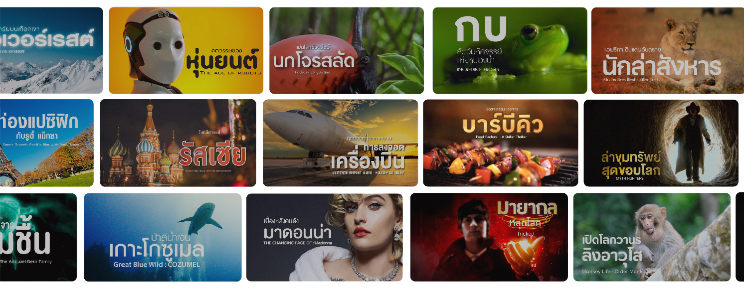 สารคดีไม่จำกัด แรงบันดาลใจไม่มีที่สิ้นสุด สำรวจเรื่องราวน่าทึ่ง ตั้งแต่สัตว์ป้า วัฒนธรรรม วิทยาศาสตร์ จนถึงการเดินทาง สารคดีทุกเรื่องถูกออกแบบ มาเพื่อจดประกายความคิด และเชื่อมโยงคุณกับโลกใบนี้